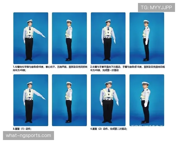 裁判手势与判罚含义对照：比赛中常见信号解析