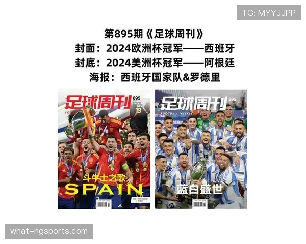 西班牙VS阿根廷冠军竞争分析